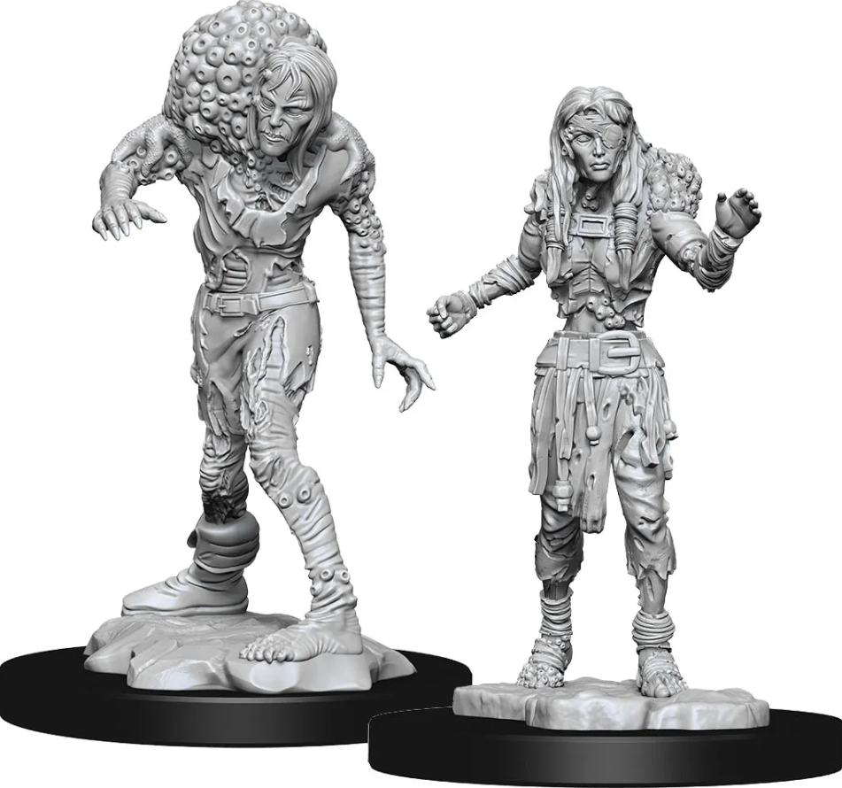 D&D: Nolzur's Marvelous Minis: Assassin & Asetic Drowned - Unpainted gray resin miniature of a hunched, monstrous assassin with textured hair and claws beside a robed, slender female.