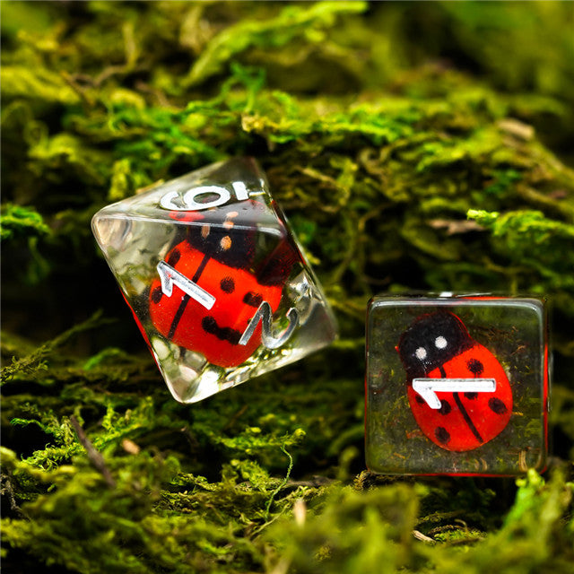 Ladybug Dice Set - Clear acrylic six-sided dice with detailed ladybug illustrations inside on green moss background.