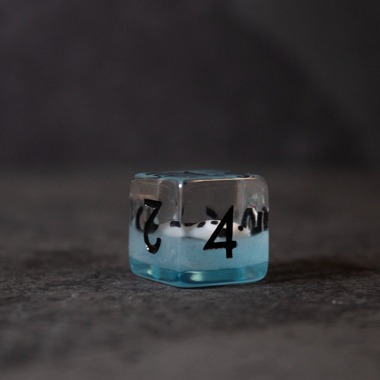 Black Koi & Steel Blue Dice - Transparent dice with steel blue bottom and black numbers on clear top surface.