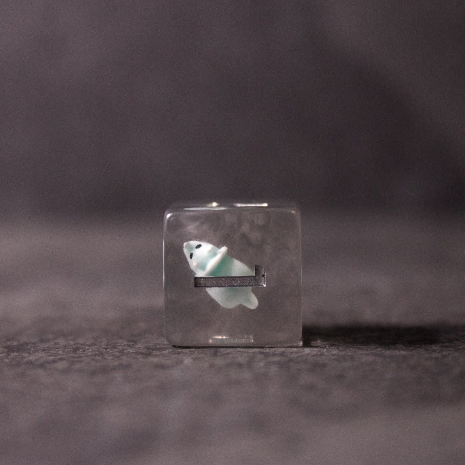 Dinosaur Dice Set - Triceratops - Clear square dice with a small white and blue Triceratops figurine embedded inside.