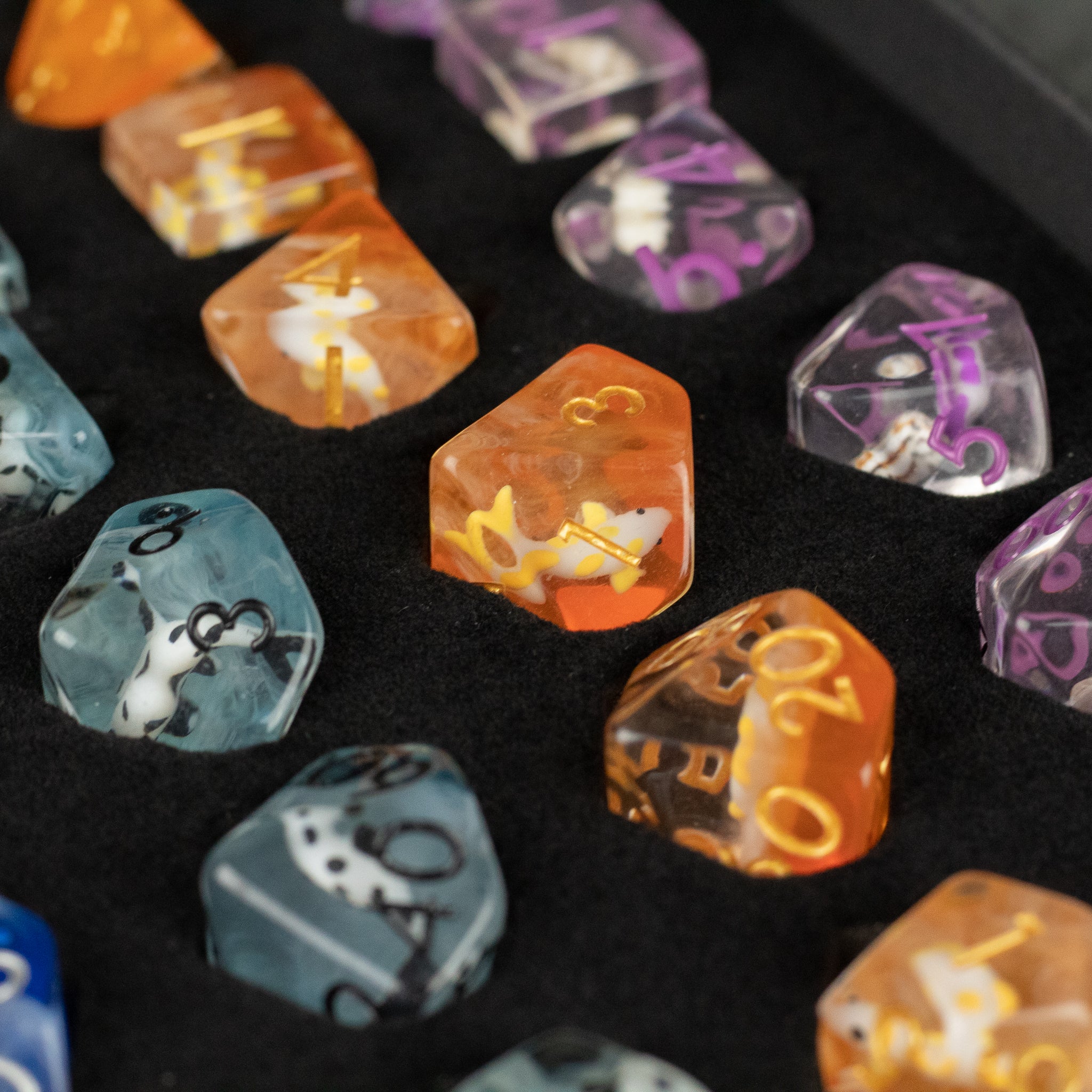 Koi Fish Dice Set Gift Box - Colorful translucent polyhedral dice with koi fish designs inside, displayed in black foam case.
