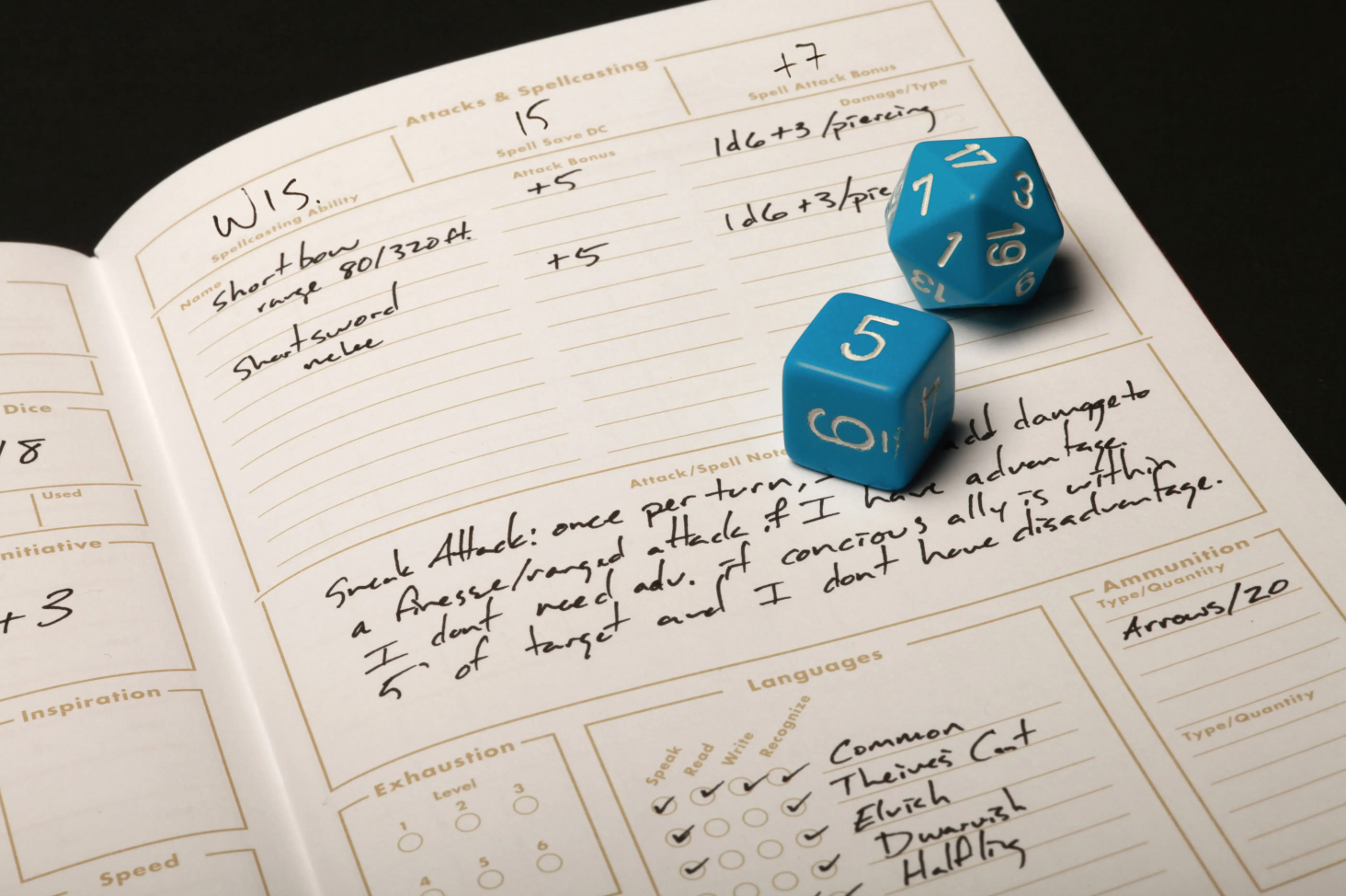 5E Character Journals - Open fantasy roleplaying journal with handwritten notes and blue 20-sided and 10-sided dice on cream pages.