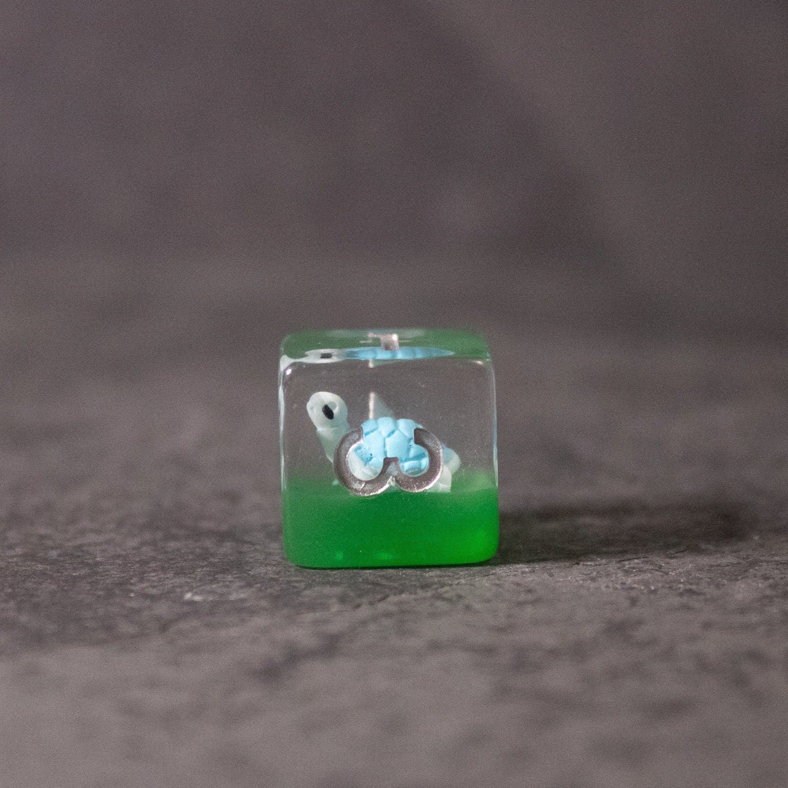 Blue Turtle Dice - Clear square die with green base and miniature blue turtle inside.