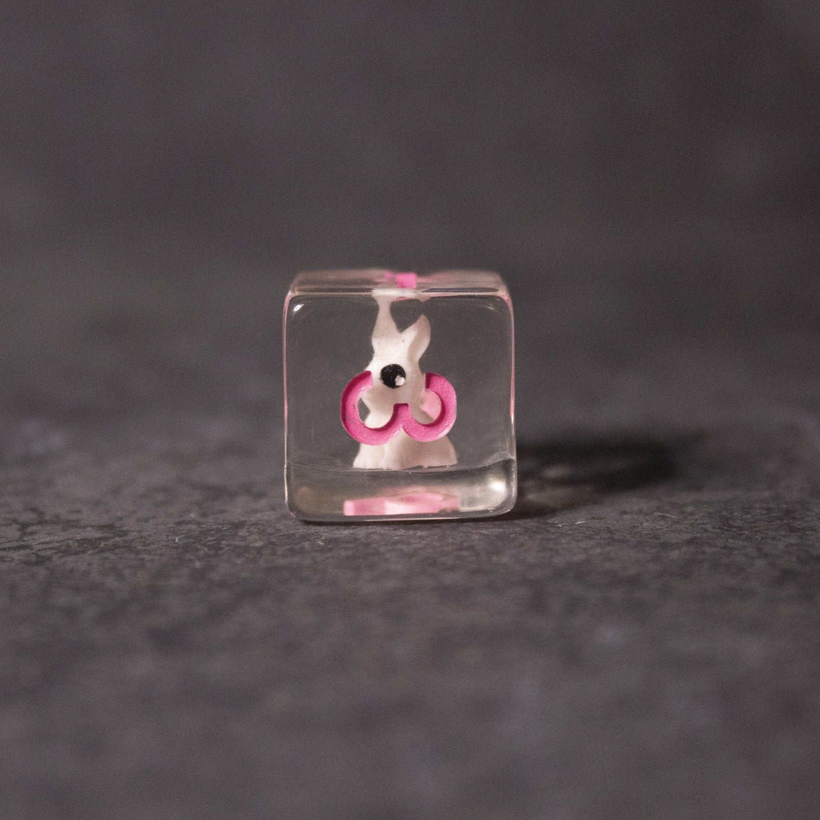 Pink Bunny Dice - Clear cube dice with a pink bunny figure inside on a gray surface.