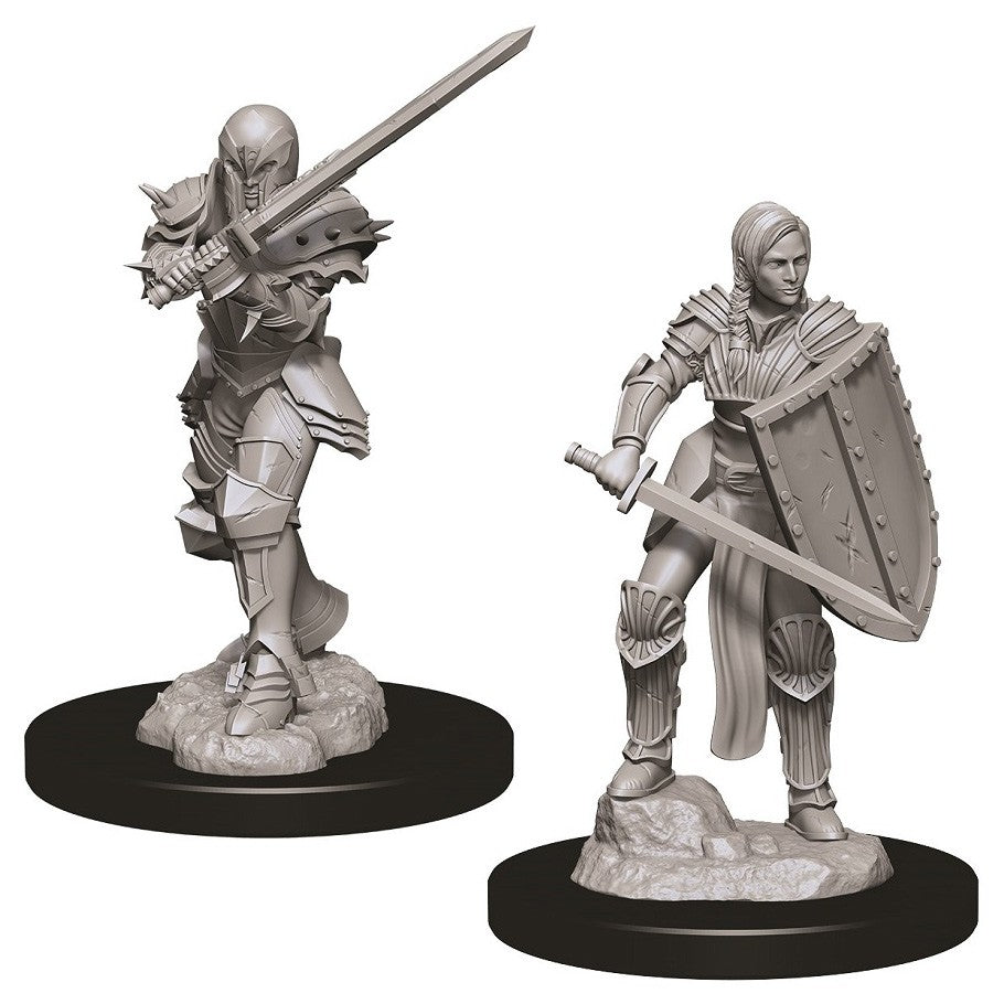 D&D: Nolzur's Marvelous Minis: Female Human Fighter W9 - Two unpainted miniature figures of female human fighters, one wielding a large sword in armor, the other holding a shield.