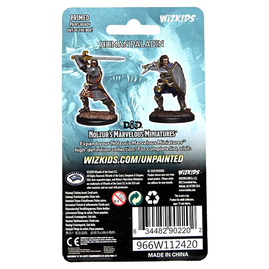 D&D: Nolzur's Marvelous Minis: Human Paladin Male Wave 14 - Two unpainted human paladin miniatures, one wielding a sword and shield and the other holding a hammer, on round bases.