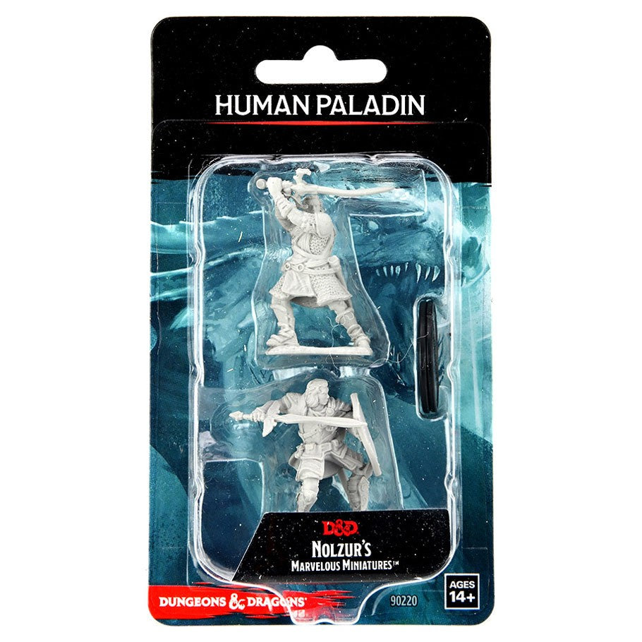 D&D: Nolzur's Marvelous Minis: Human Paladin Male Wave 14 - Two unpainted gray plastic Human Paladin miniatures with weapons, displayed in clear blister pack on blue and black D&D.