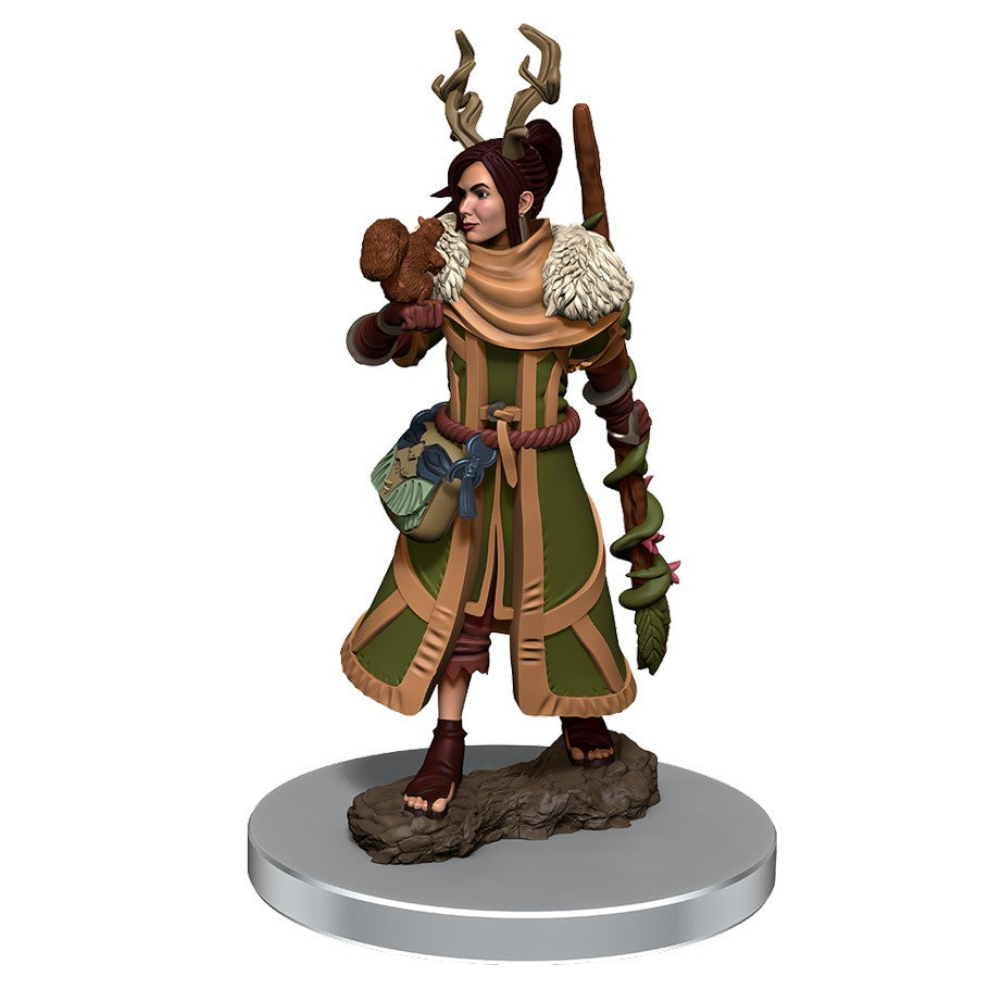 Dungeons & Dragons: Icons of the Realms: Female Human Druid - Female human druid miniature in green and brown robes with antler headpiece and wooden staff on rocky base.
