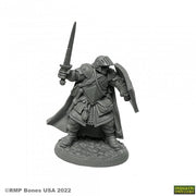 Baran Blacktree, Veteran Warrior - Black armored warrior mini with sword raised and round shield, standing on textured base.