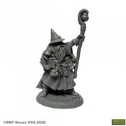 Luwin Phost, Wizard - Gray resin miniature of a wizard wearing a pointed hat and cloak, holding a tall staff with a curved top and orb.