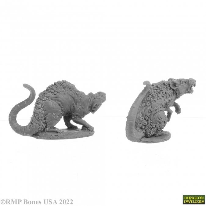 Barrow Rats (2) - Two gray miniature fantasy rats with detailed fur and textured bases, posed in different crouching stances.