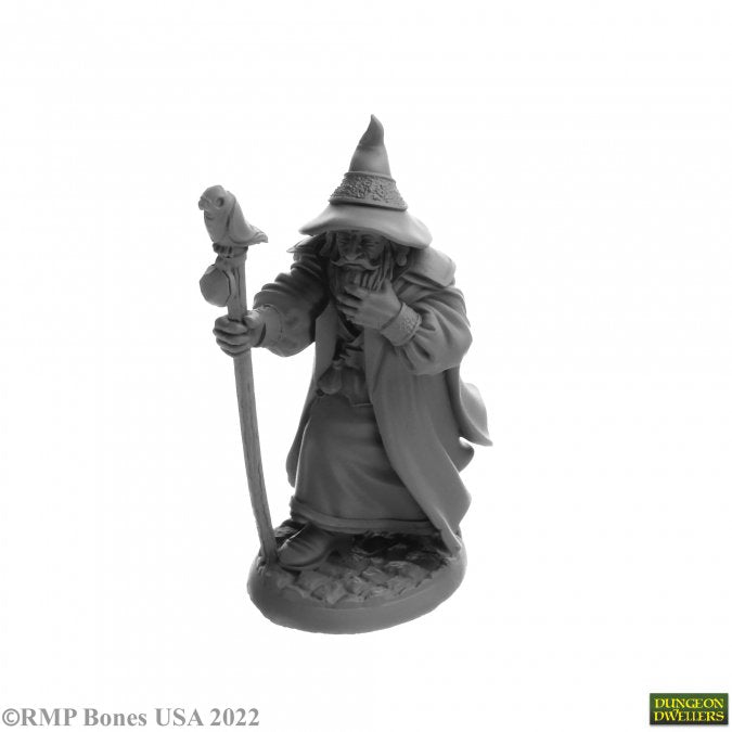 Landol Griswold, Human Wizard - Gray resin miniature of a bearded wizard in a long robe and pointed hat holding a staff topped with a bird figure.