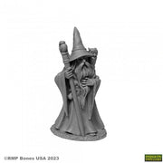 Anuminar Winterbeard, Wizard - Gray resin wizard figurine with a tall pointed hat, long beard, and staff in hand.