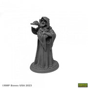 Zenfis Zadar, Wizard - Gray miniature wizard figurine with hooded robe holding a raven on one arm, standing on a round base.