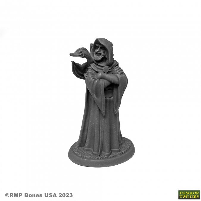 Zenfis Zadar, Wizard - Gray miniature wizard figurine with hooded robe holding a raven on one arm, standing on a round base.