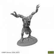 Moor Troll - Gray plastic miniature of a muscular troll with raised arms and an open mouth, standing on a textured oval base.