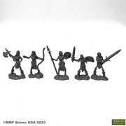 Skeleton Guardians (5) - Set of five black plastic skeleton warrior miniatures with swords, shields, and armor on textured bases.