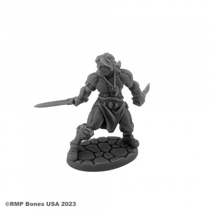 Hyborian Hero - Gray plastic miniature figurine of a warrior holding a sword and dagger, standing on a cracked circular base.