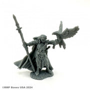 Wood Elf King - Gray resin miniature of a regal wood elf king holding a spear, wearing detailed armor and a flowing cape, with a bird.
