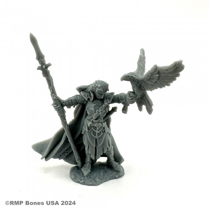 Wood Elf King - Gray resin miniature of a regal wood elf king holding a spear, wearing detailed armor and a flowing cape, with a bird.