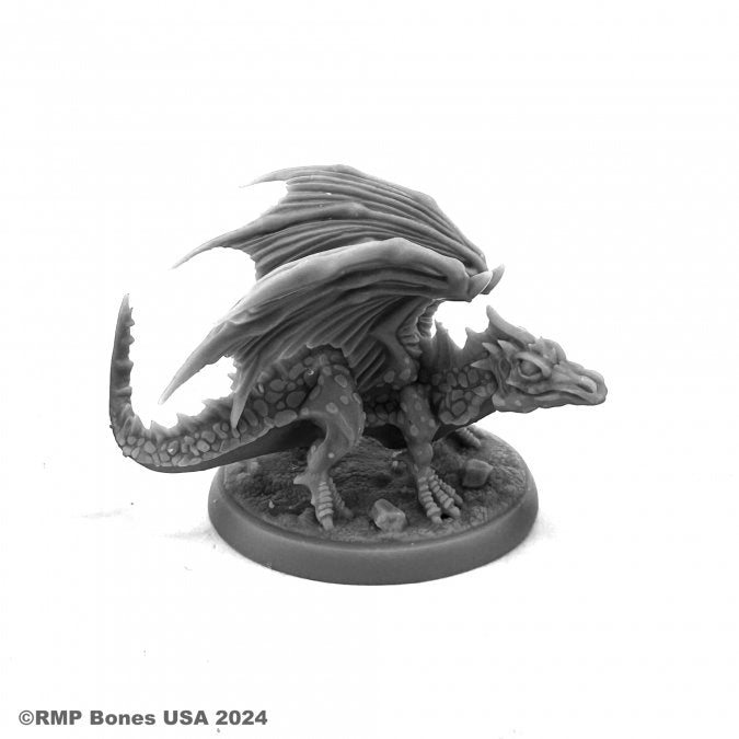 Hiss, Young Dragon - Gray miniature dragon figurine with textured scales, large wings, and a curled tail on a round base.