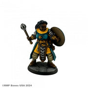 Sister Nelia, Cleric - Dark-skinned female cleric figurine with braided hair, teal and gold robes, holding a mace and wooden shield on stone base.