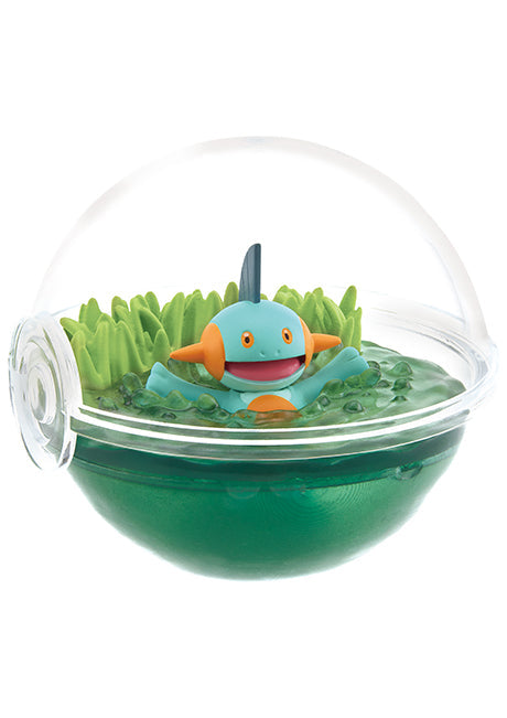 Re-Ment Pokémon Terrarium Collecion 12 Series Blind Box - Individual - Clear plastic spherical terrarium with green base, featuring a small Squirtle Pokémon figure surrounded by grass and water.