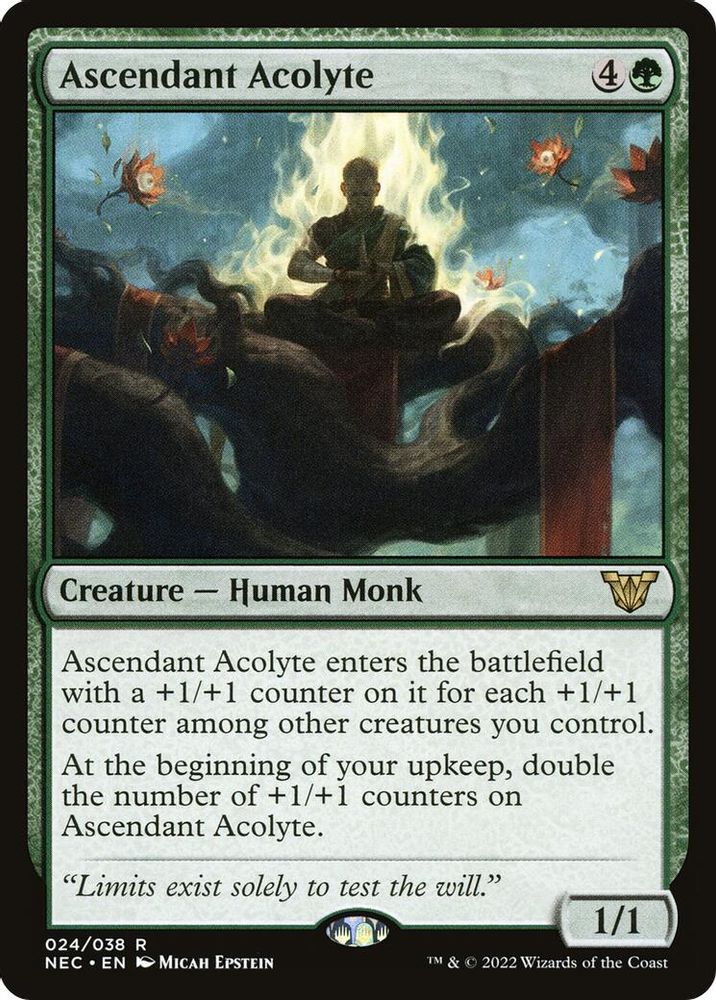 Ascendant Acolyte · 24 · Commander: Kamigawa: Neon Dynasty · Non-foil