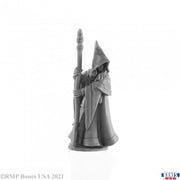 Anirion, Elf Wizard - Gray resin fantasy elf wizard miniature holding tall ornate staff, wearing pointed hood and flowing robes.