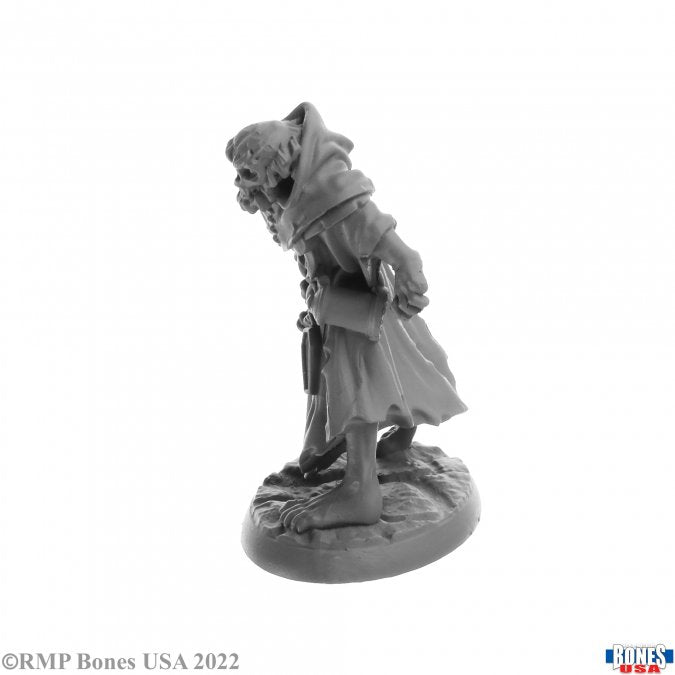 Dreadmere Wight - Gray plastic miniature of a hooded skeletal figure in tattered robes standing on a textured base.