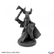 Sir Guy the Red - Dark gray miniature of a horned humanoid warrior holding an axe and a shield with a crest, wearing a cape and armor.