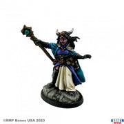 Valavir Nightsong, Hellborn Wizard (Unpainted) - Unpainted miniature of a horned female wizard in flowing cloak holding a staff, standing on textured base.