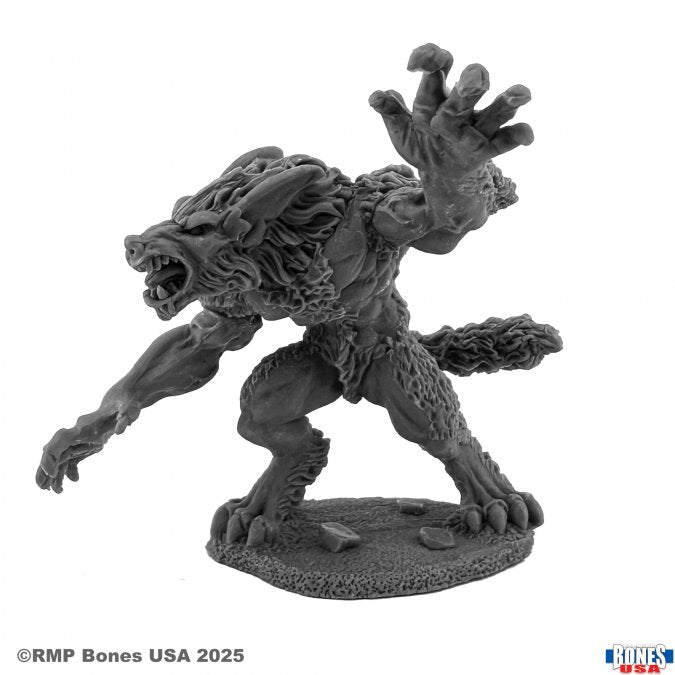 Jean Paul Duchamps, Werewolf - Dark gray detailed werewolf miniature figurine in aggressive stance on textured oval base.