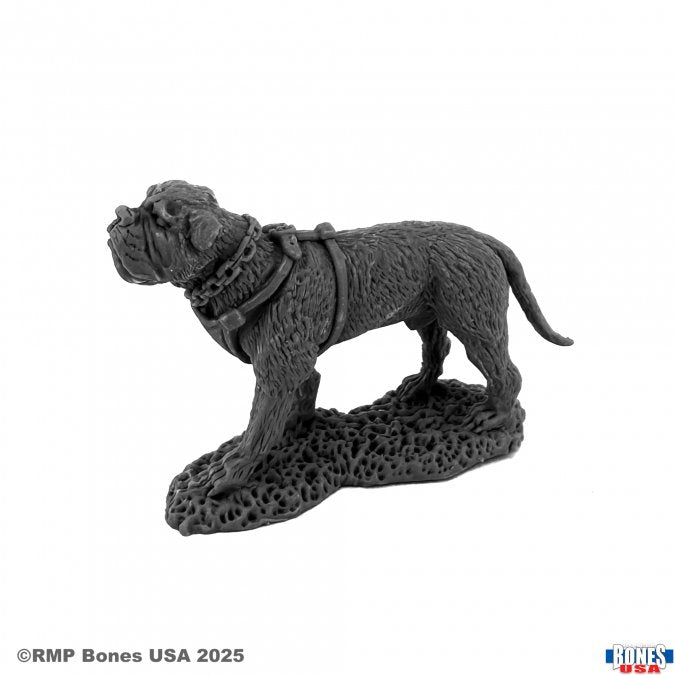 Garr, War Dog - Dark gray detailed resin model of a muscular dog wearing a studded collar and harness standing on textured base.