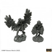 Harpies (2) - Two black fantasy harpy miniatures with detailed wings and clawed feet on rocky bases.