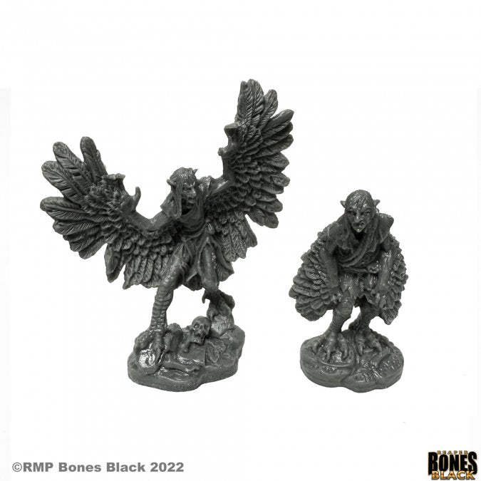 Harpies (2) - Two black fantasy harpy miniatures with detailed wings and clawed feet on rocky bases.