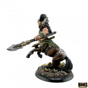 Centaur Lord - Painted centaur lord miniature wielding a large spear, featuring a muscular human torso and horse body with dark brown fur.