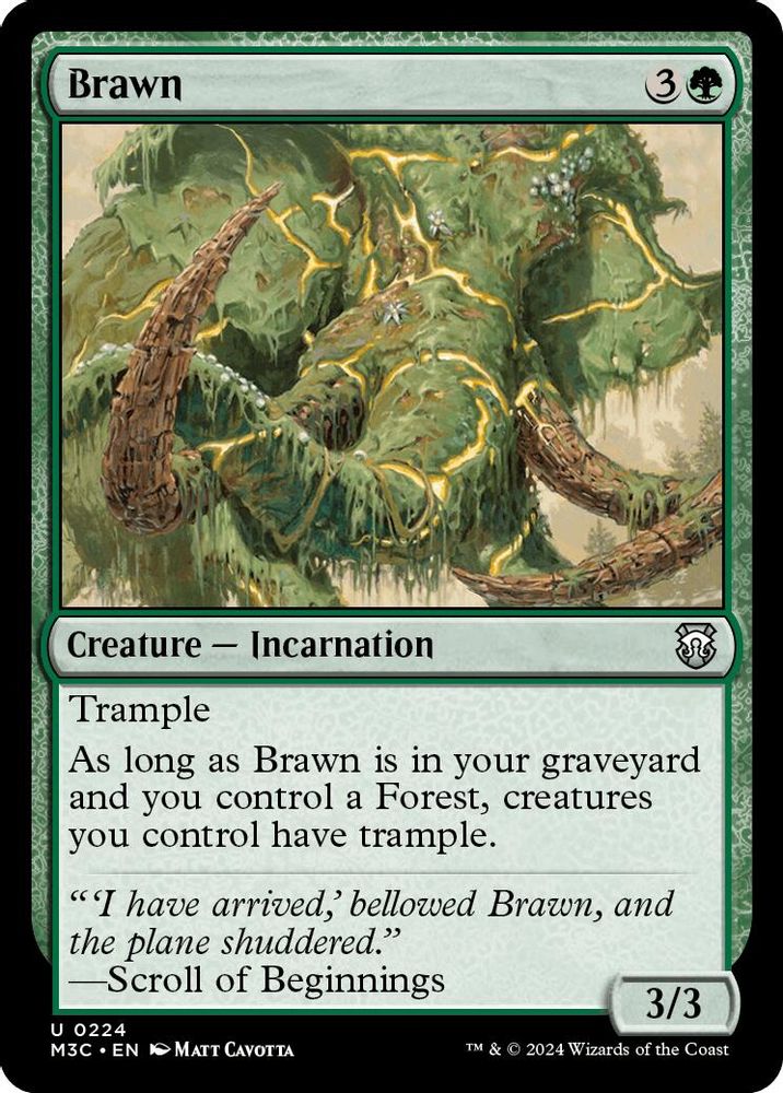 Brawn · 224 · M3C · Ripple Foil