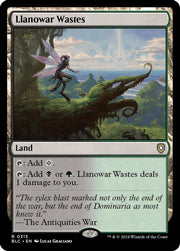 Llanowar Wastes · 315 · Commander: Bloomburrow · Non-foil