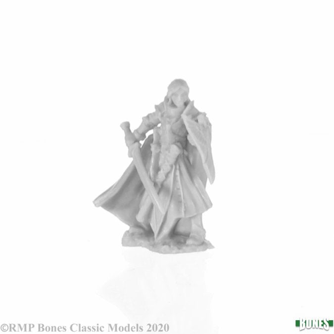 Alandin, Elf Paladin - Unpainted gray resin miniature of a fantasy elf paladin holding a sword and shield, wearing detailed armor and a flowing.