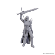 D&D Nolzur's Marvelous Miniatures: Blackguard - Gray plastic miniature of a warrior in armor holding a raised sword with a flowing cape behind.