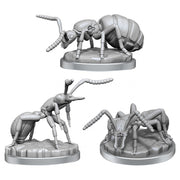 Deep Cuts: Giant Ants W21