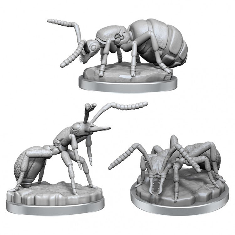 Deep Cuts: Giant Ants W21