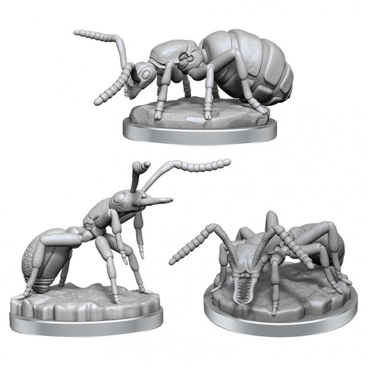 Deep Cuts: Giant Ants W21
