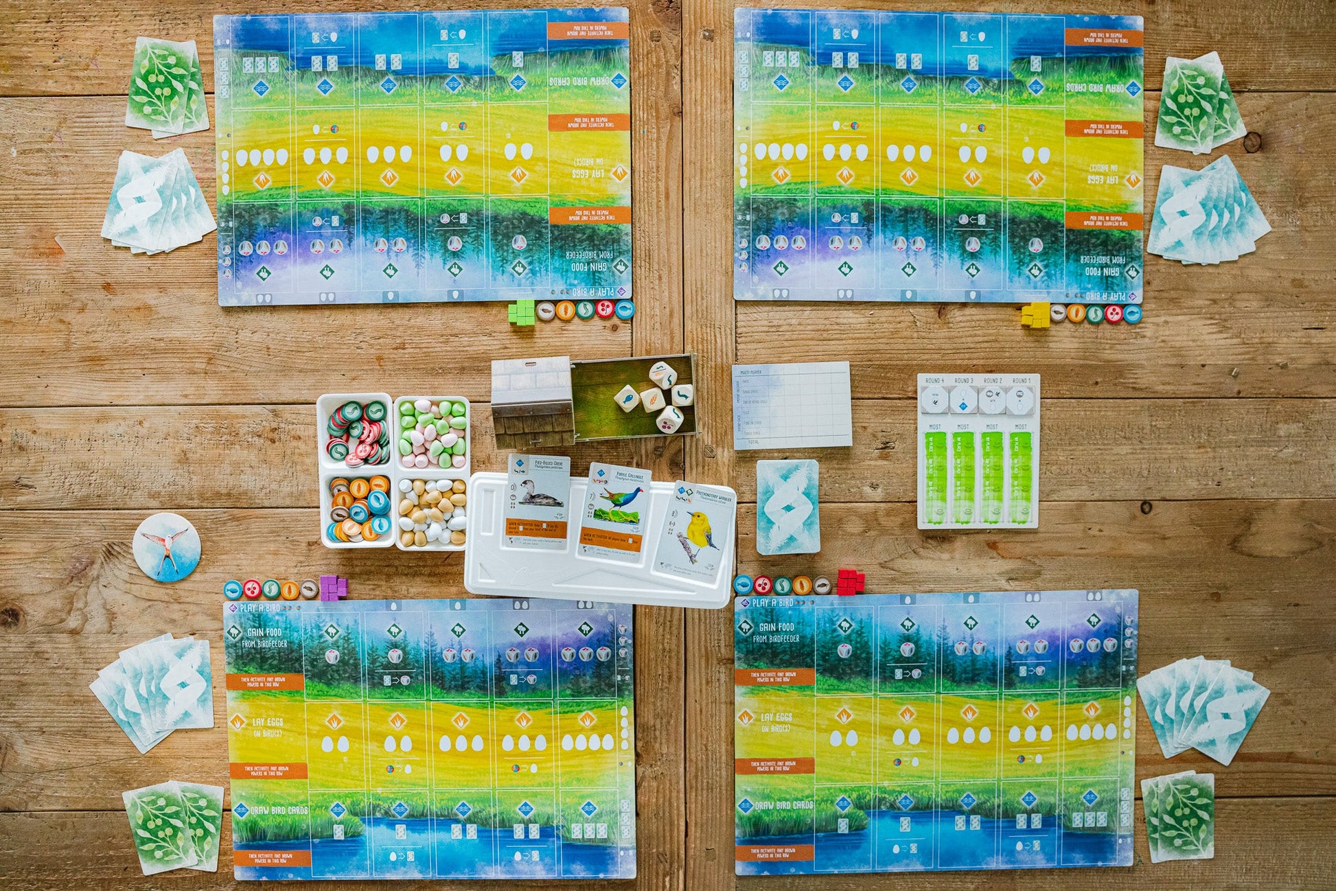 Wingspan - Four rectangular player boards with colorful blue, yellow, and green gradients arranged around a wooden table, surrounded by