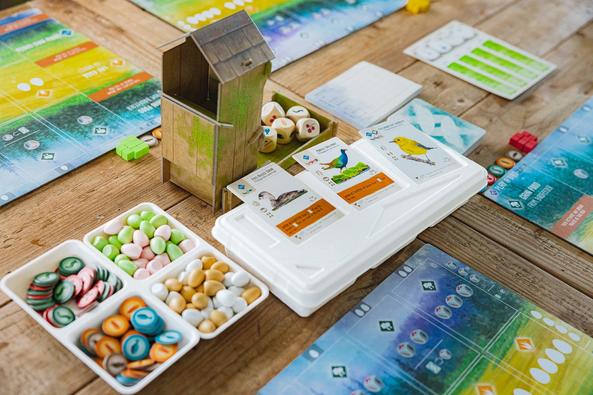 Wingspan - Board game setup featuring colorful bird cards, egg tokens, wooden food tokens, and a nest-shaped cardboard box on a wooden.