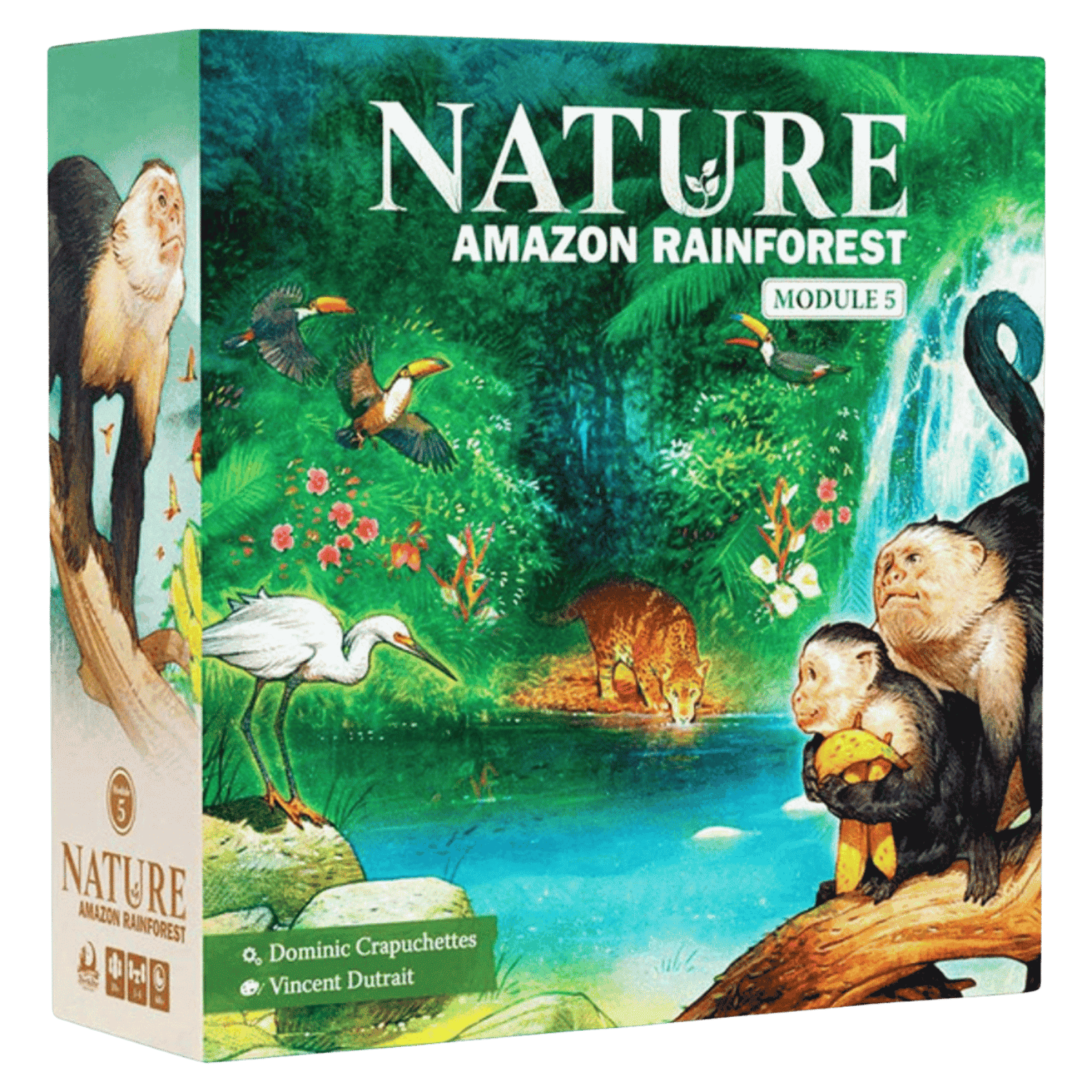 Nature: Module 5: Amazon Rainforest (PREORDER) - Nature Amazon Rainforest Module 5 expansion box with vibrant green jungle artwork and animals including monkeys, birds, and.