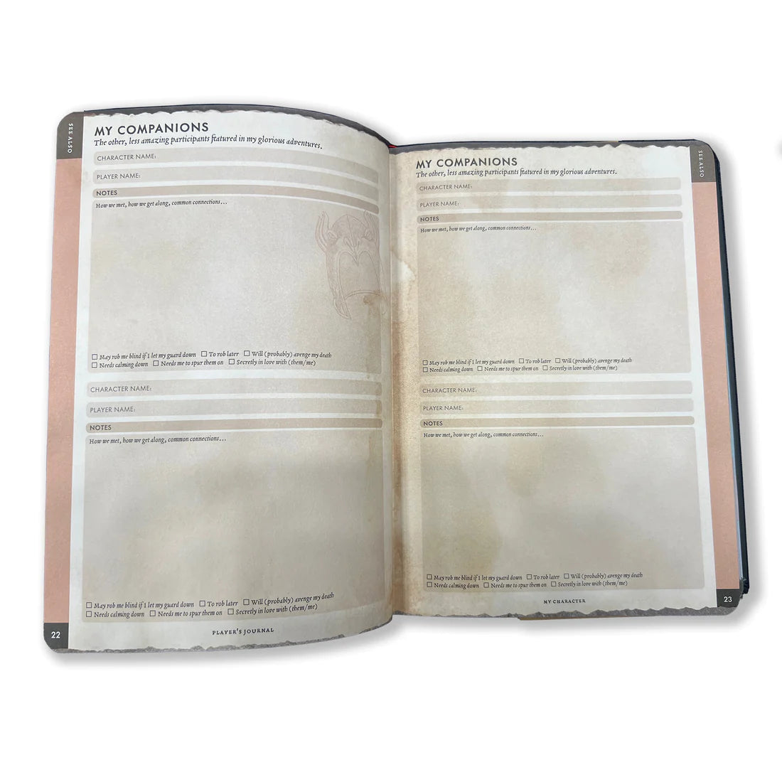RPG Player's Journal - Open RPG player’s journal with tan, aged-style pages featuring sections for writing about companions and quests.