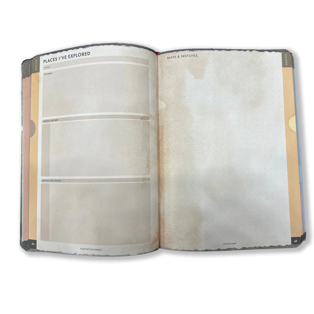 RPG Player's Journal - Open RPG Player's Journal with aged, parchment-style pages featuring sections for notes and character details.
