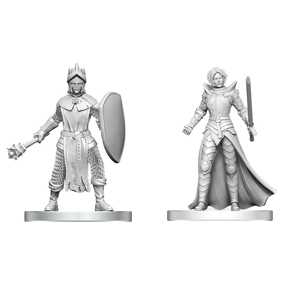 D&D Nolzur's Marvelous Miniatures: Black Gauntlet & Zhentilar Paladin of Bane - Two unpainted plastic D&D miniatures, one armored knight with shield and mace, other robed paladin with sword and flowing.